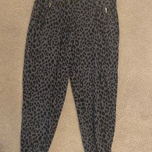 Torrid joggers